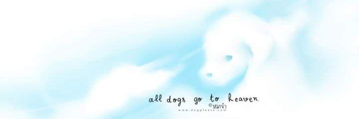 DogpleaseMaaJa's profile banner image