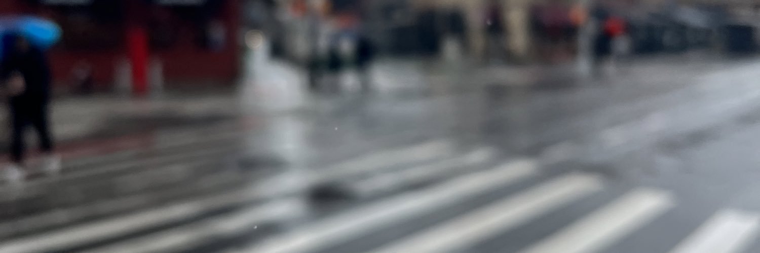 saradonyxes's profile banner image