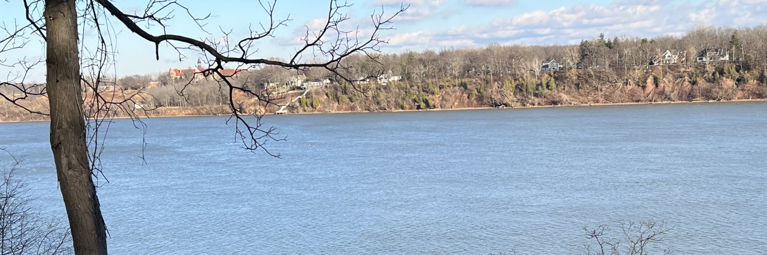 Michele O'Keefe banner