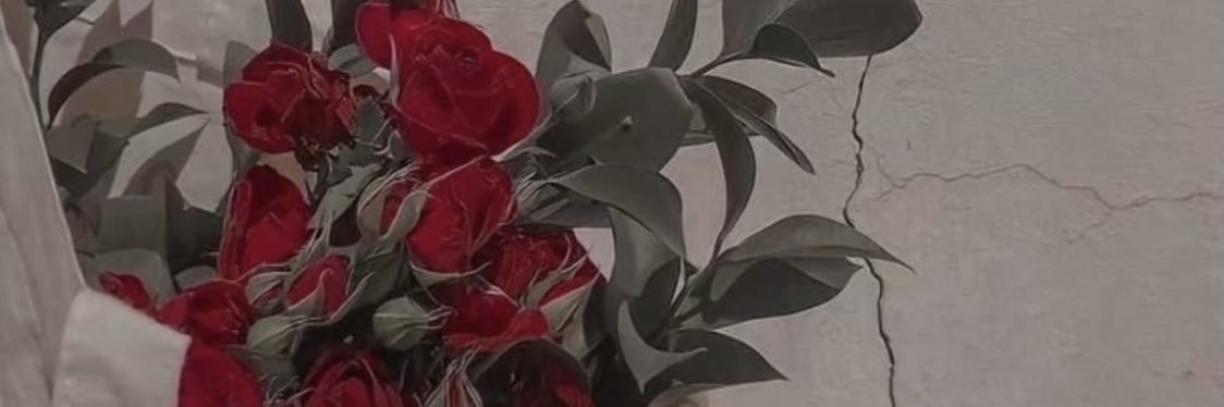 amooolh113's profile banner image