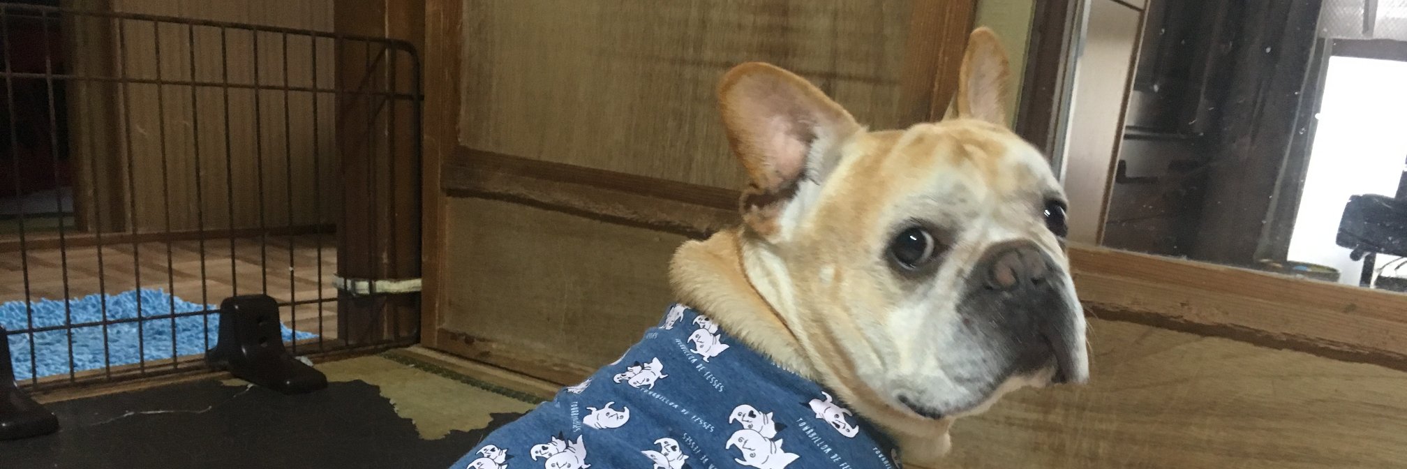 appppppppppe's profile banner image