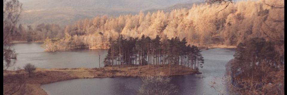 JakeRouty's profile banner image