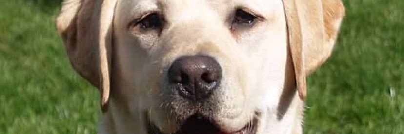 BillWilly's profile banner image