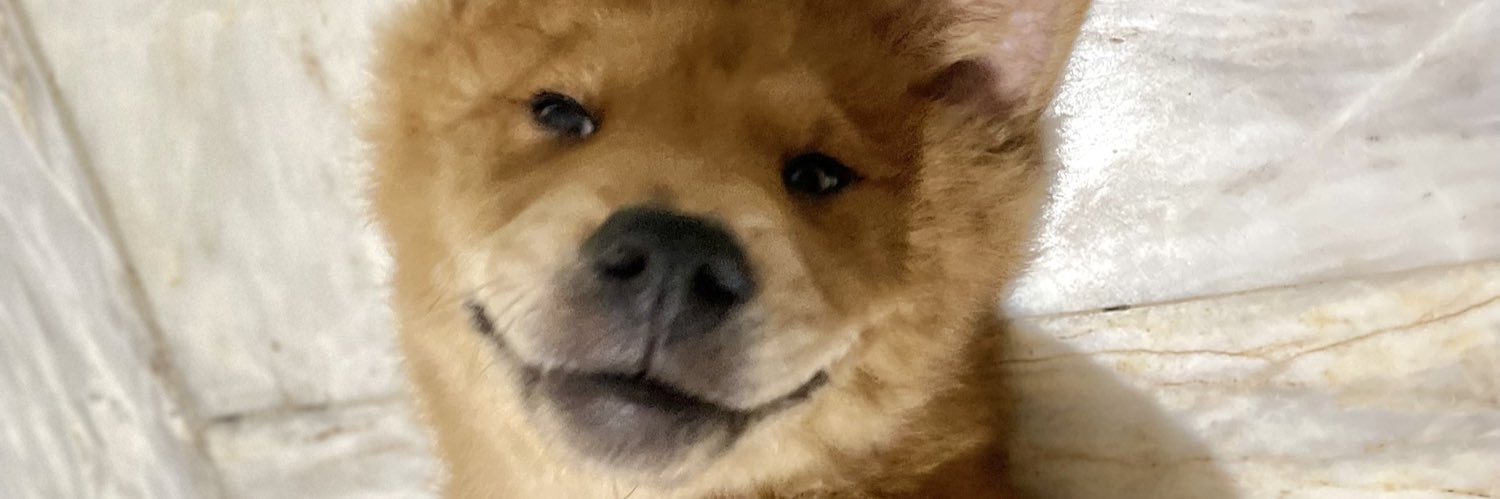 teremuri's profile banner image