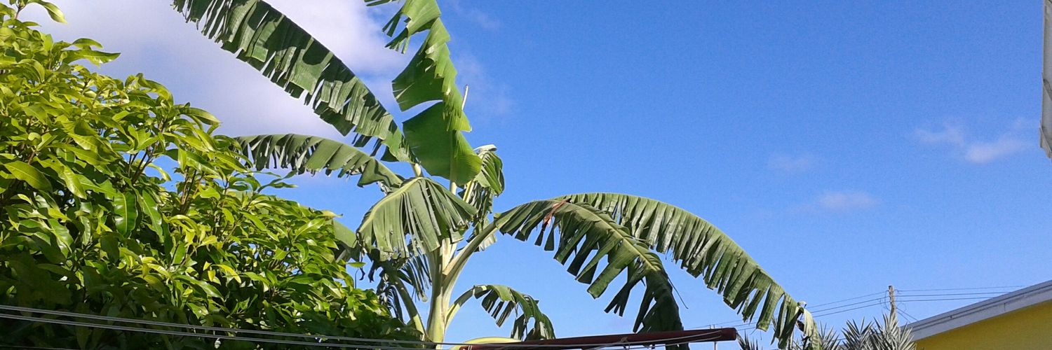 ElleGee17L's profile banner image