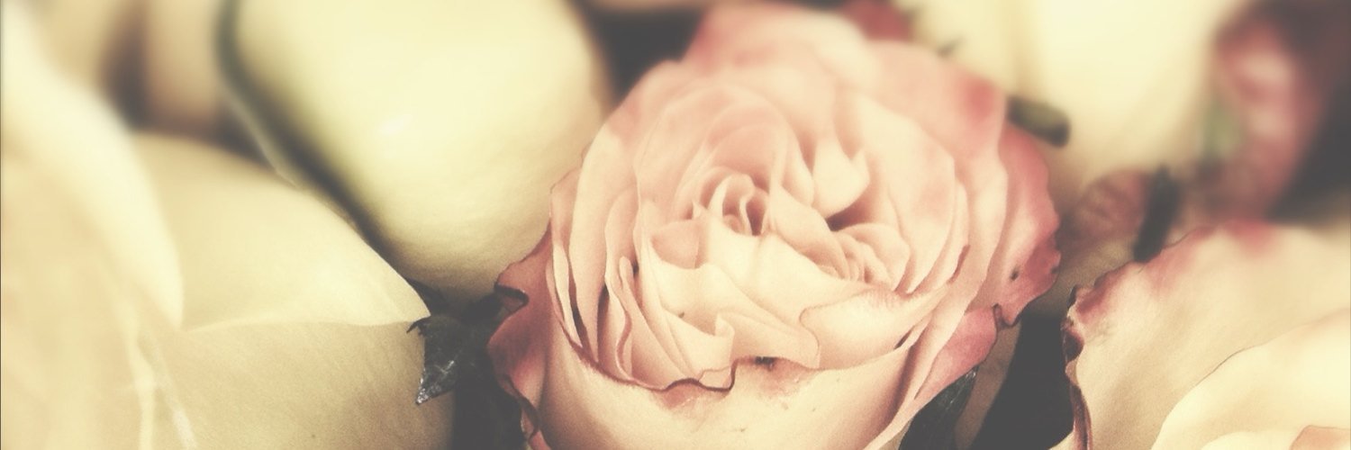 InShiningArmor_'s profile banner image