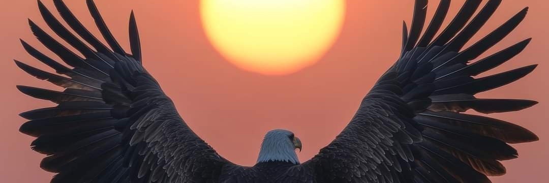 andix17cc's profile banner image