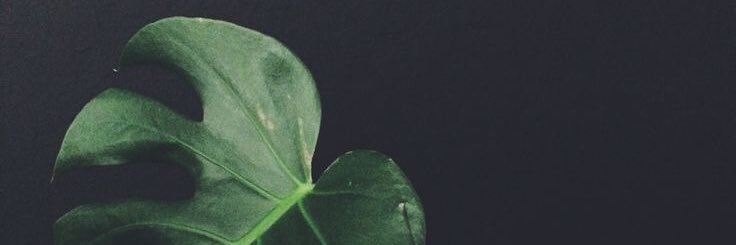 mindfulmamakay's profile banner image