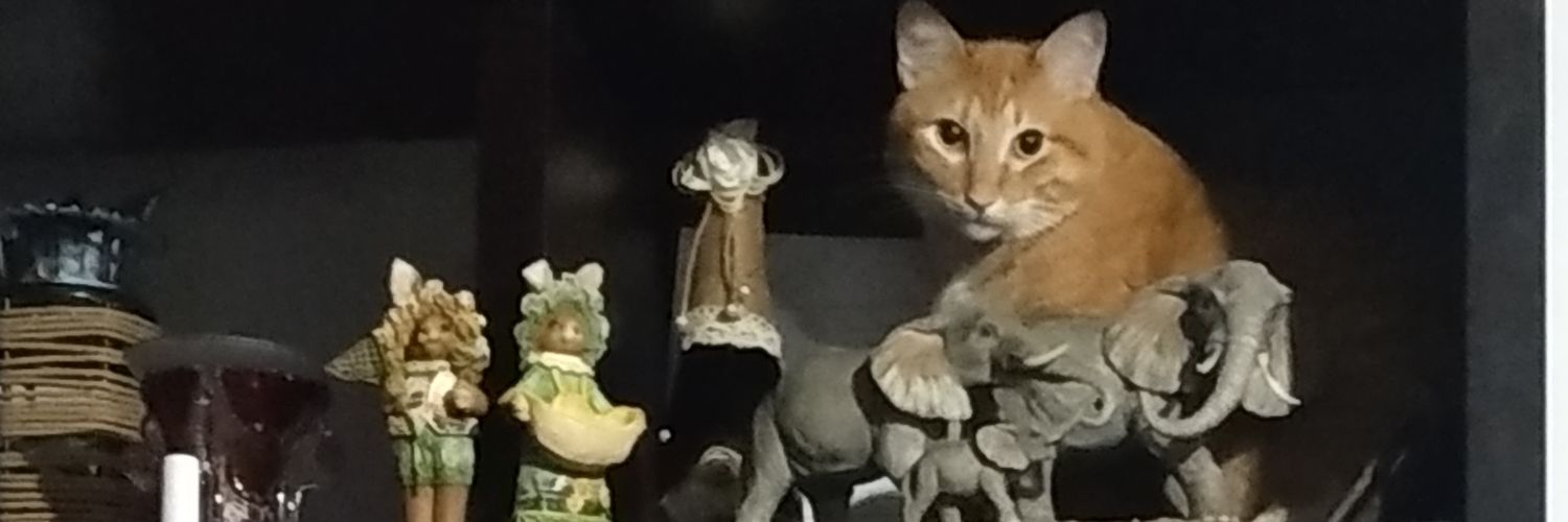soyelrio's profile banner image