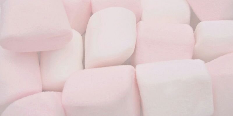 ChamallowShow's profile banner image