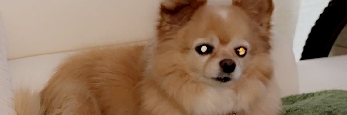 pprincessssarah's profile banner image