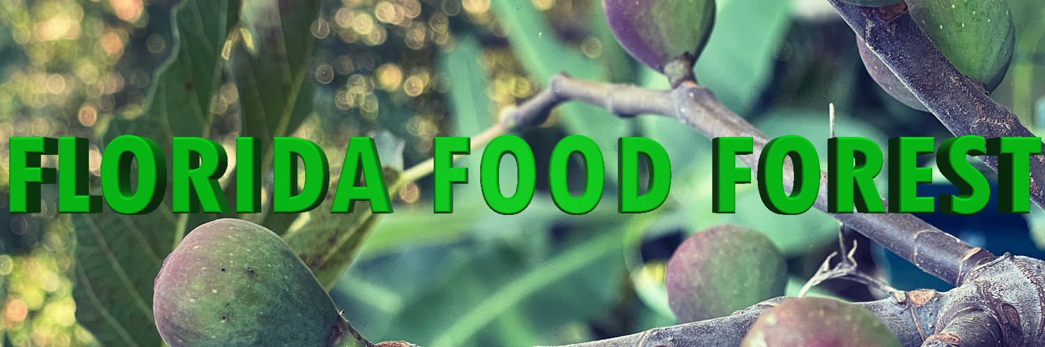FLFoodForest's profile banner image
