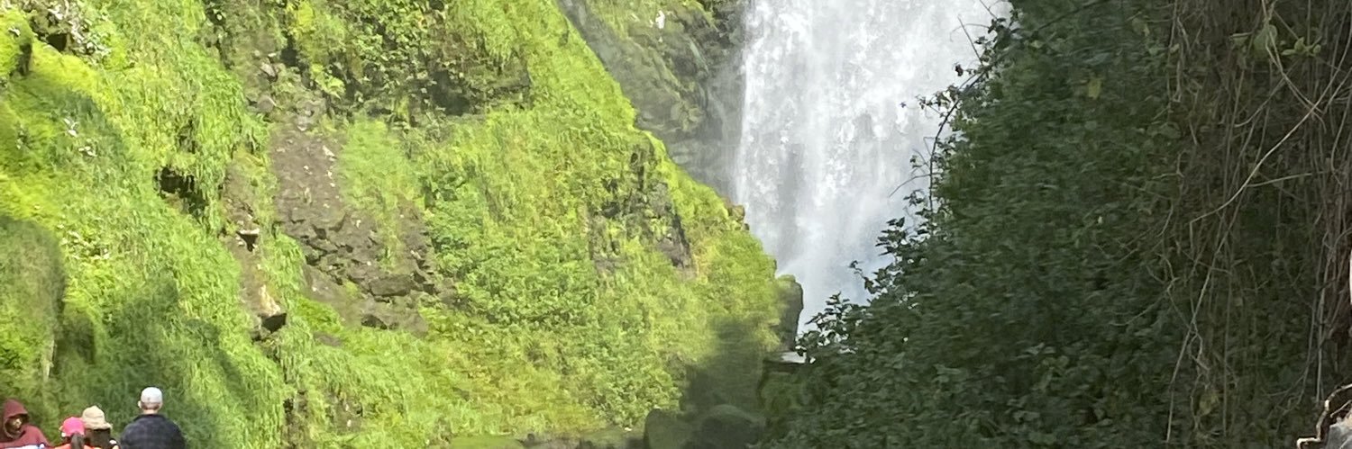 crochavega's profile banner image