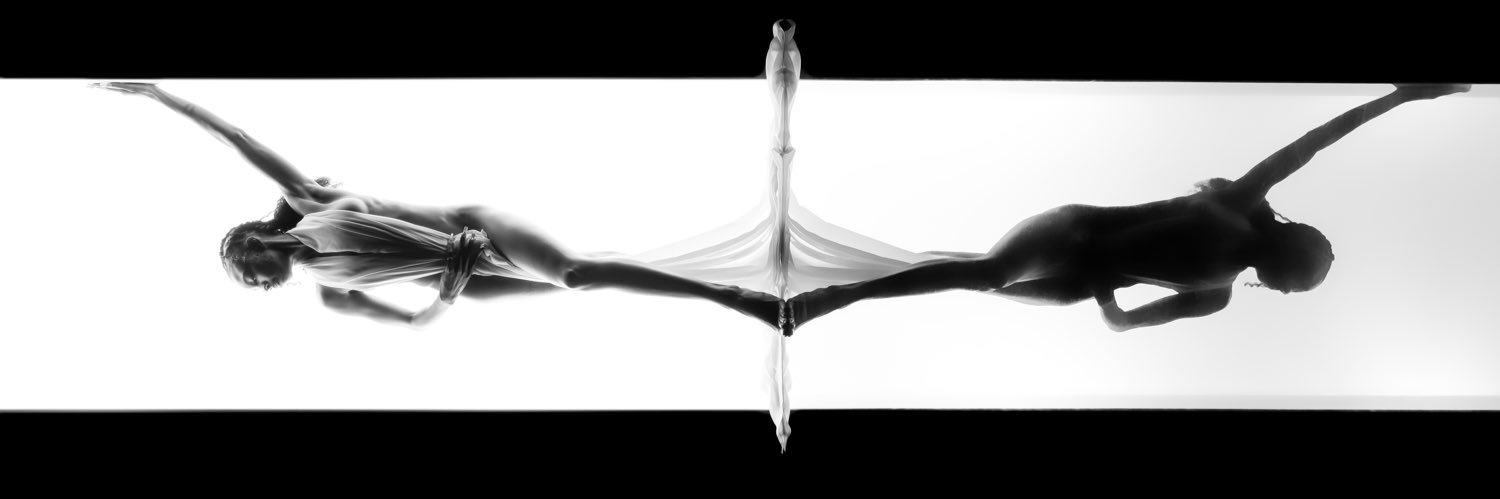 cook_celisa's profile banner image