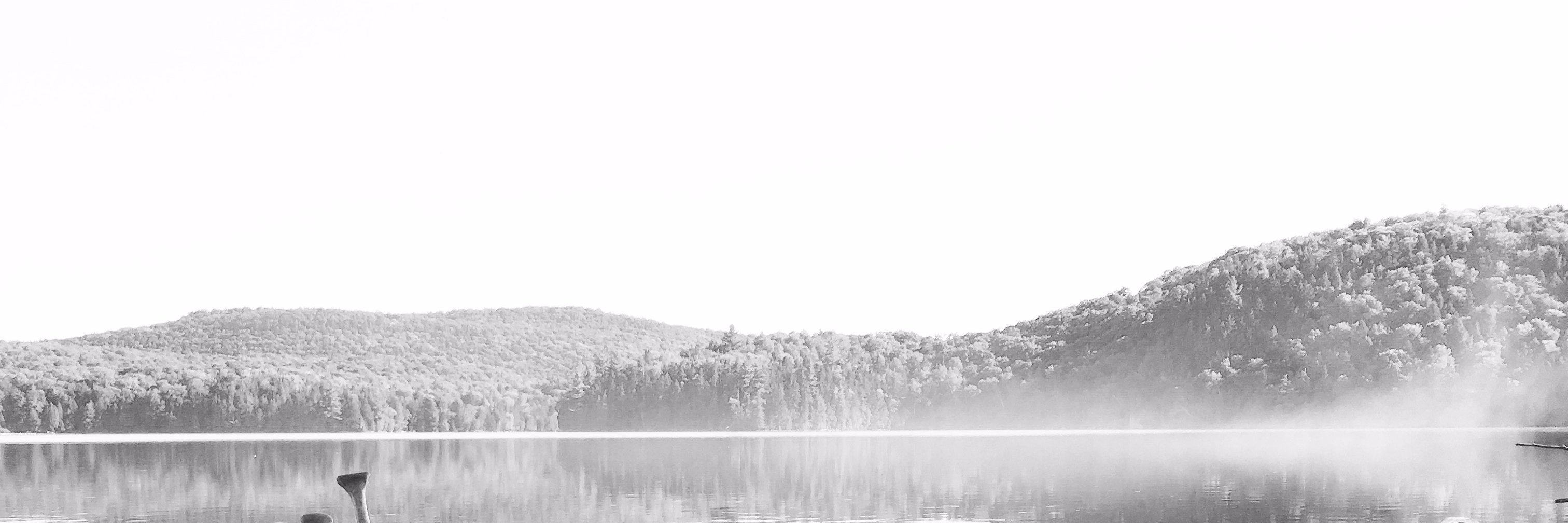 lmanjm's profile banner image