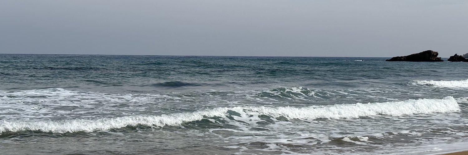 zzzynpiii's profile banner image