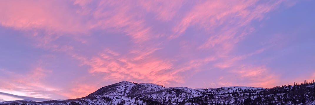 lisasophiaa's profile banner image