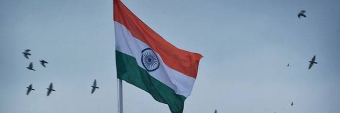 sunny michael banner