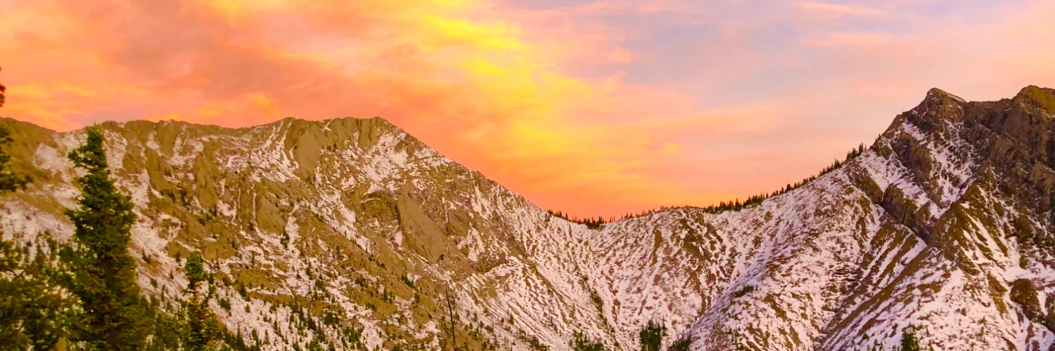 Tamara Bodnar (she/her) banner