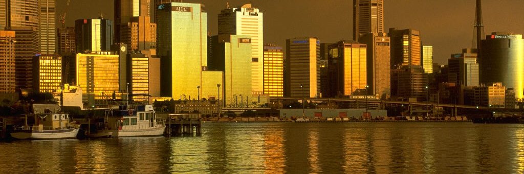 flor_fyl's profile banner image