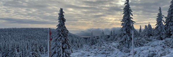 _dev_prg Profile Banner