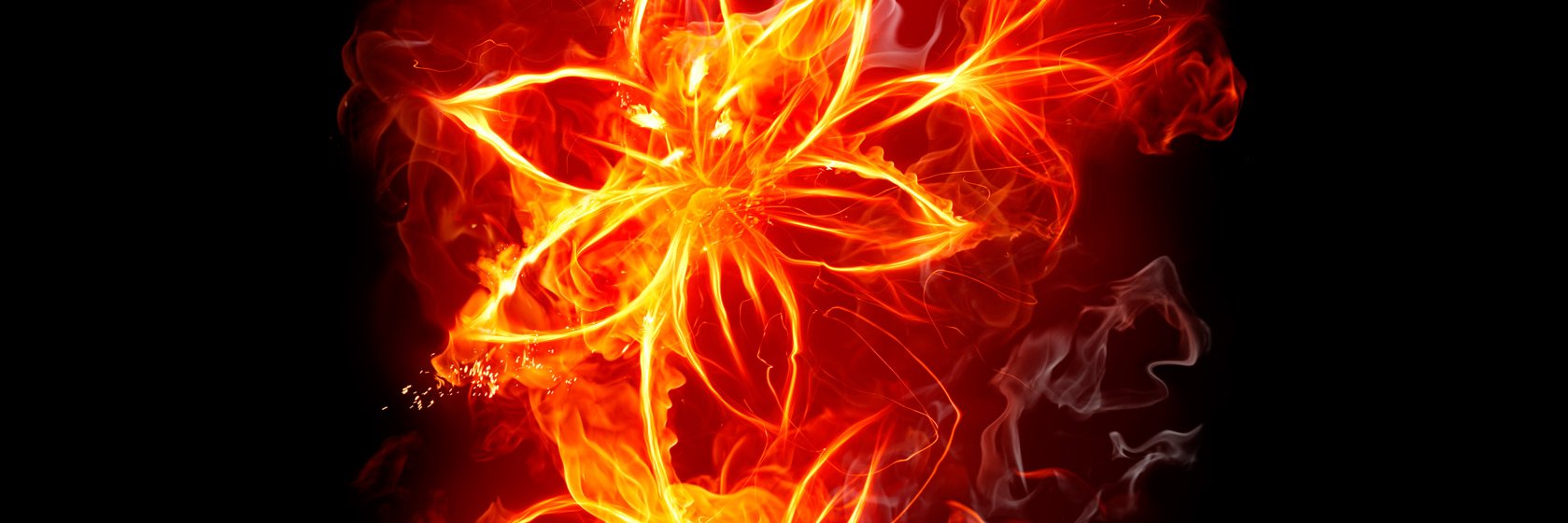 PandaBoaz's profile banner image