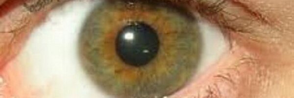 davidrociero Profile Banner