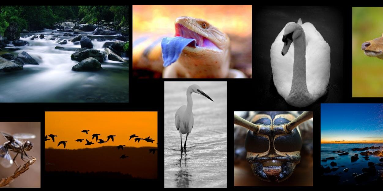 JohnHPhotograph's profile banner image