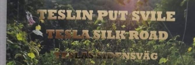 sladaradojkovic's profile banner image