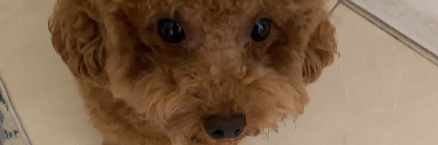 leonardusdion's profile banner image