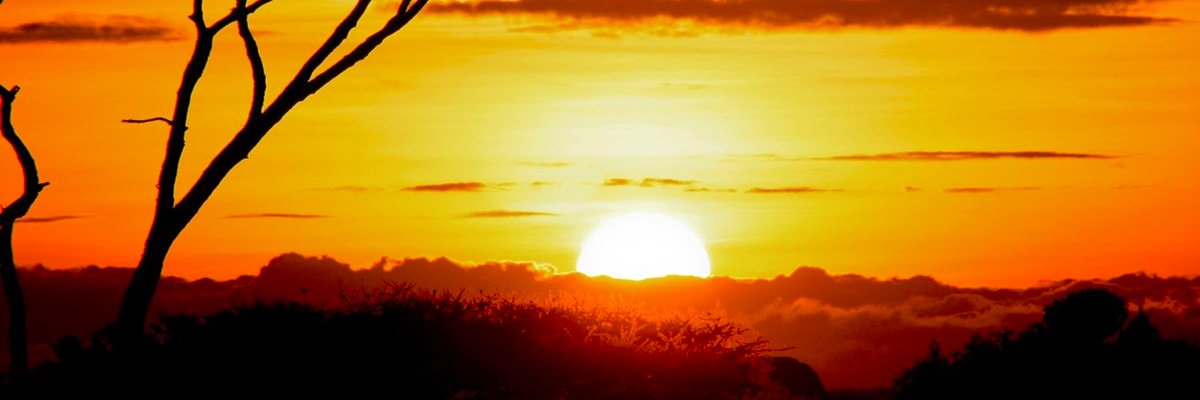 Annette Rasmussen banner