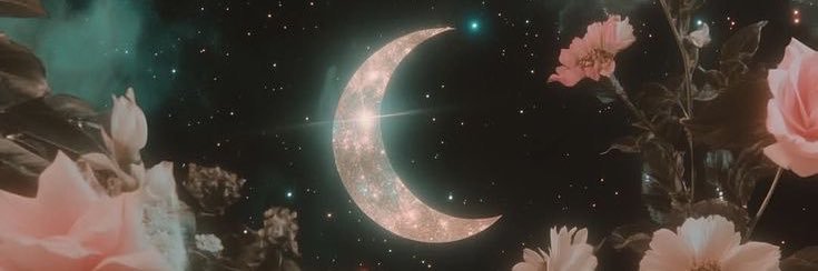 Georjerose24's profile banner image