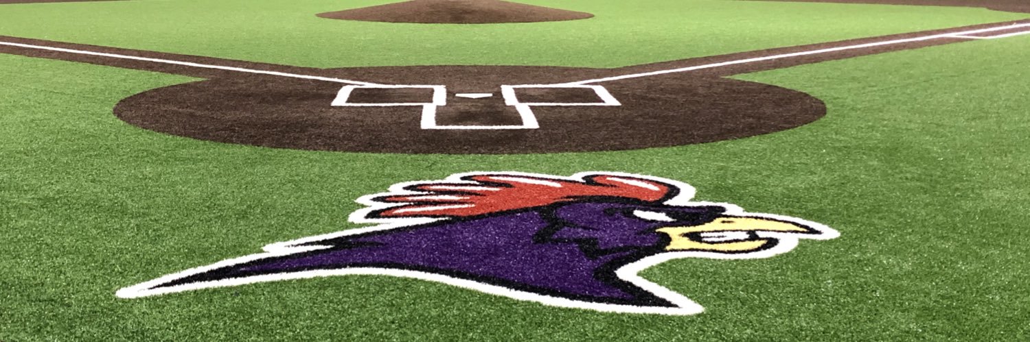 Rooster Baseball banner