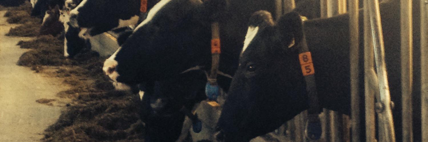 Sebastian_176's profile banner image