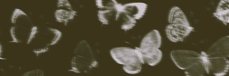 rappxchapp's profile banner image