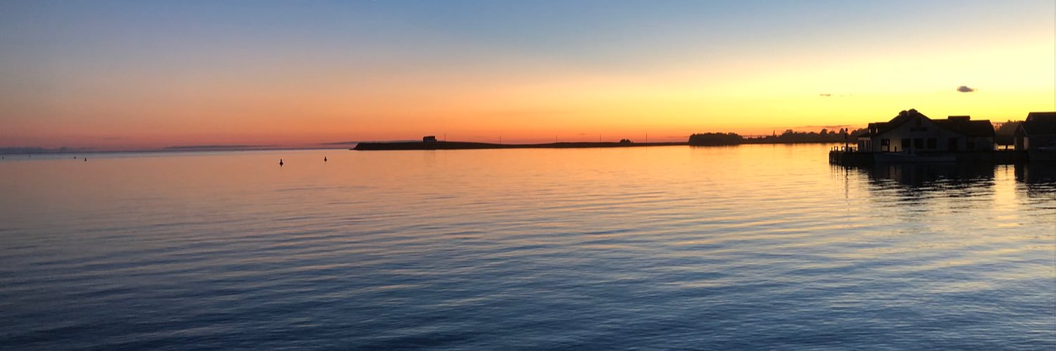 Lori Robinson banner