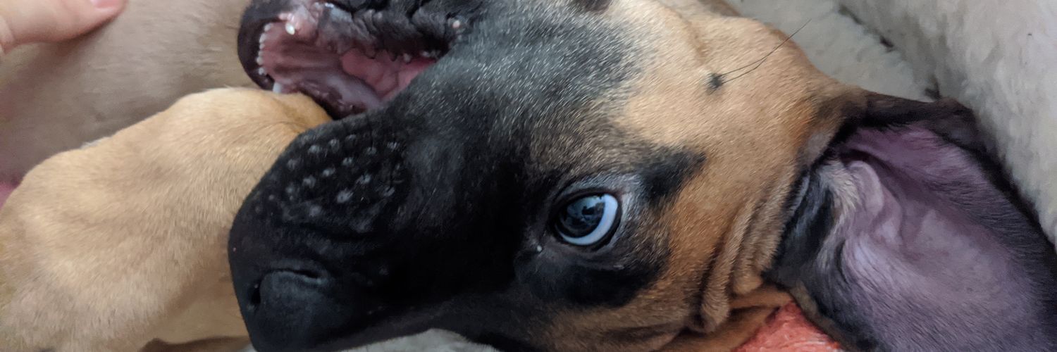 NickHorn99's profile banner image
