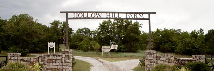 HollowHillEvent's profile banner image