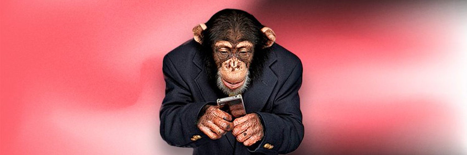 ThatMonkeyTv's profile banner image