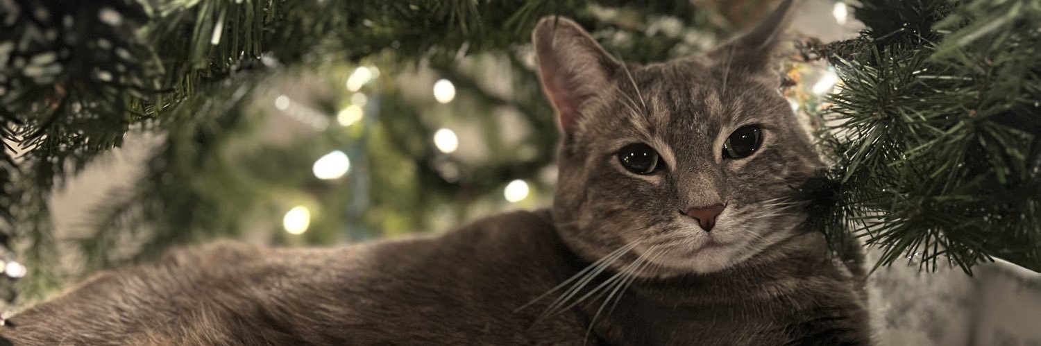 ChessaJenkins's profile banner image
