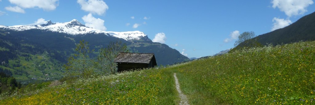 Annabelle_fi's profile banner image