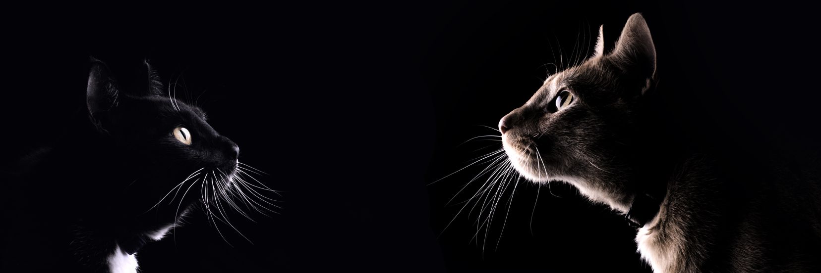 AKuck34's profile banner image