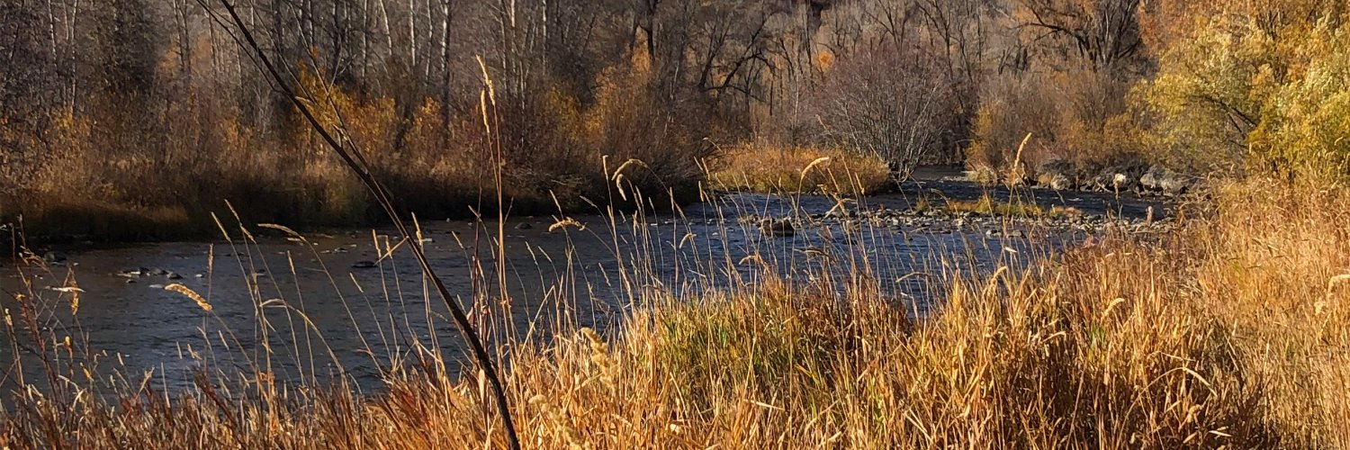mackfogelson's profile banner image