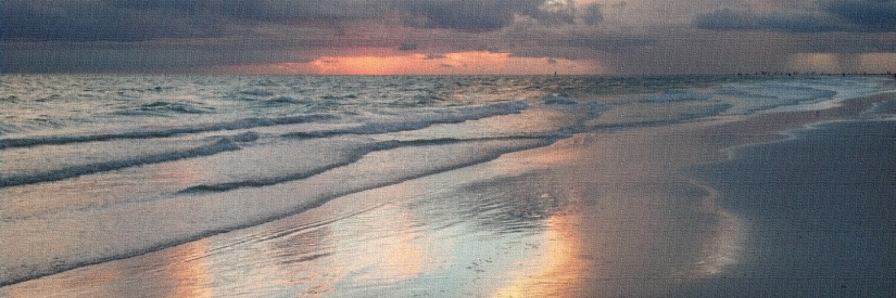 SuncoastSosh's profile banner image