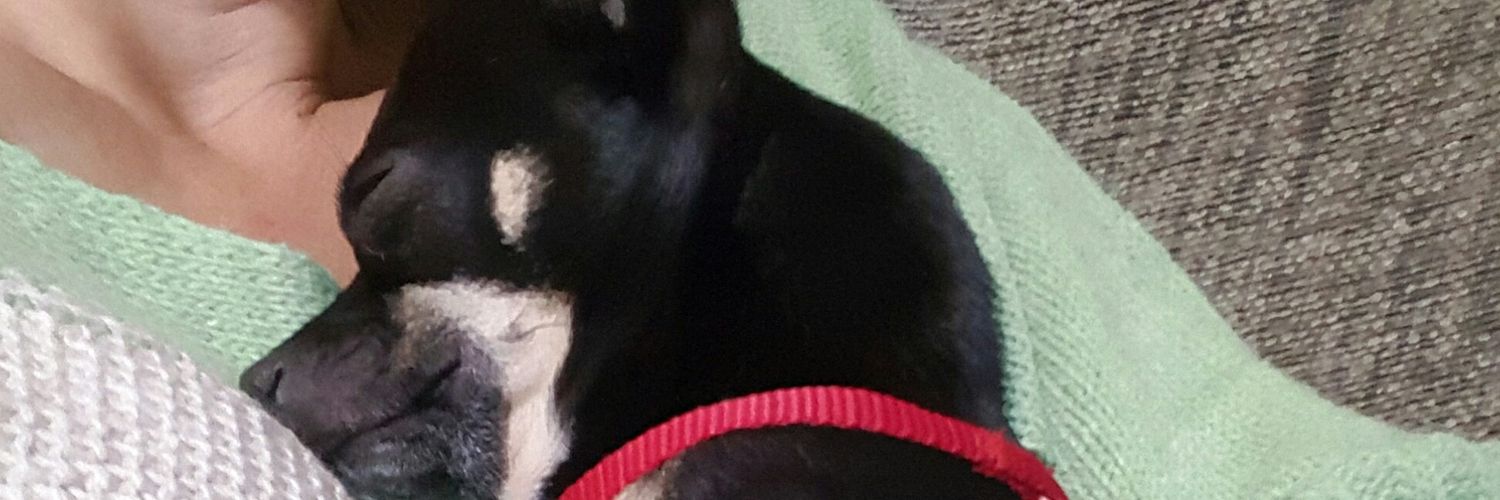 Fátima López ۞ banner