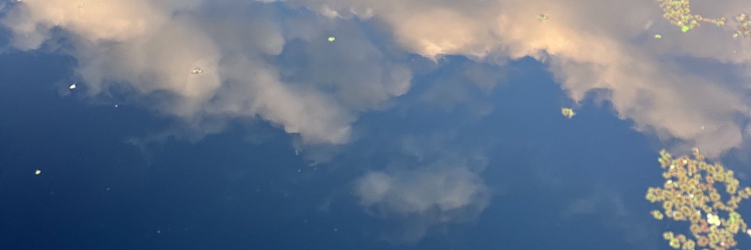 katiedwarren's profile banner image