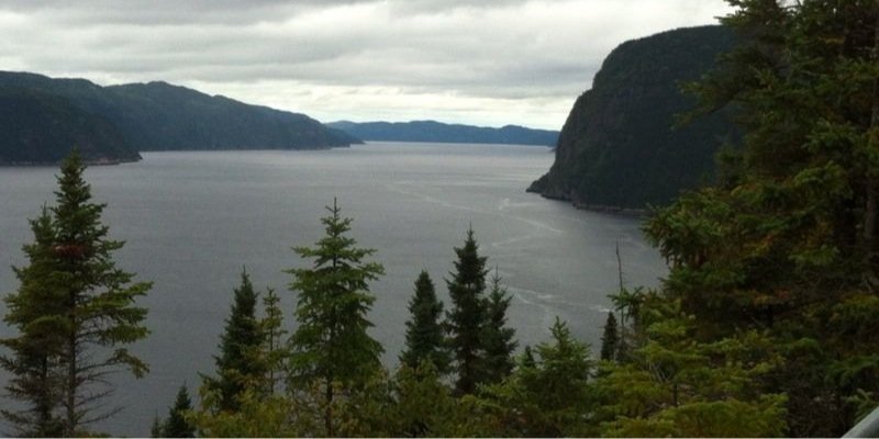 ibana piñero banner