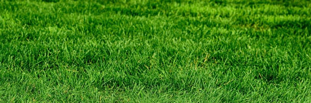Miss_Crystalll's profile banner image