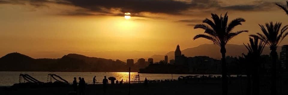 Tracy☀️ banner