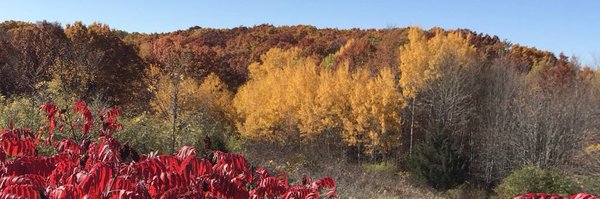shaunladen Profile Banner